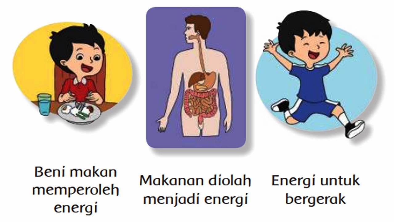 Detail Buku Tema 6 Kelas 3 Energi Dan Perubahannya Nomer 35