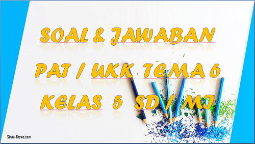 Detail Buku Tema 6 Kelas 5 Semester 2 Nomer 43