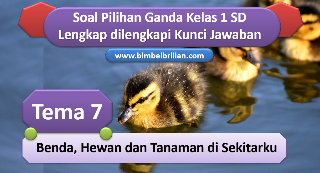 Detail Buku Tema 7 Kelas 1 Sd Nomer 43