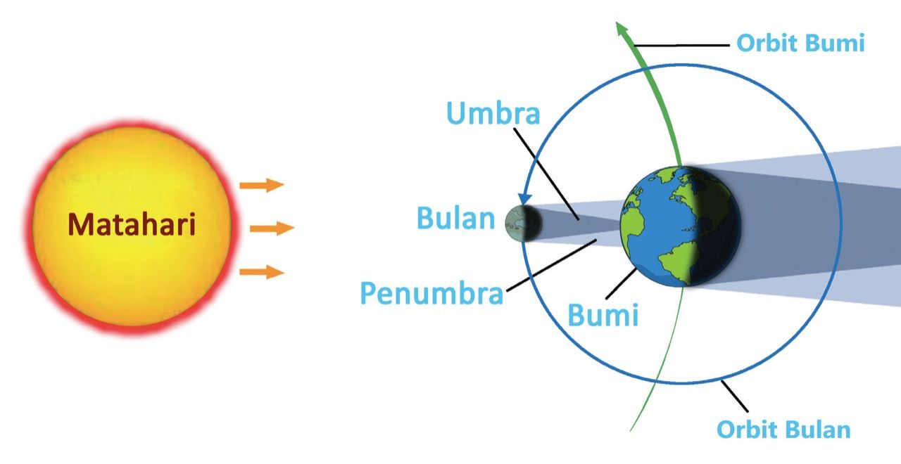 Detail Buku Tema 8 Kelas 6 Nomer 24