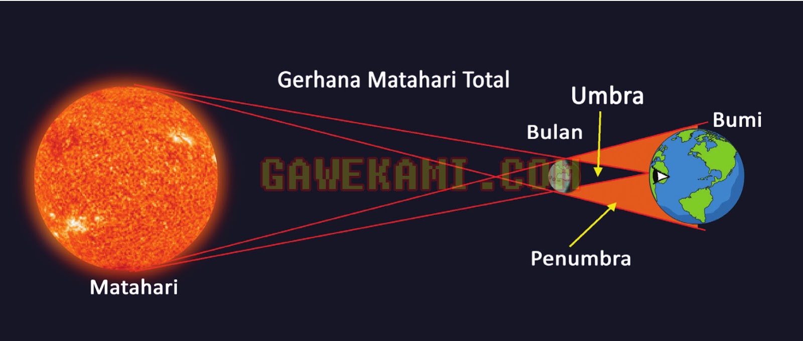 Detail Buku Tema 8 Kelas 6 Bumiku Nomer 40