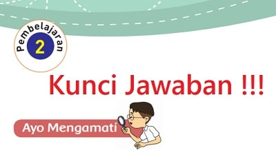 Detail Buku Tematik Kelas 3 Tema 4 Nomer 40