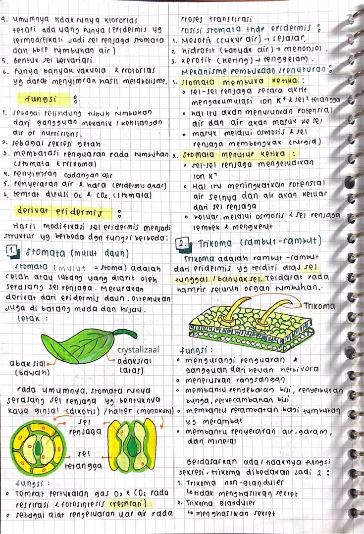 Detail Buku Tentang Fotosintesis Nomer 34