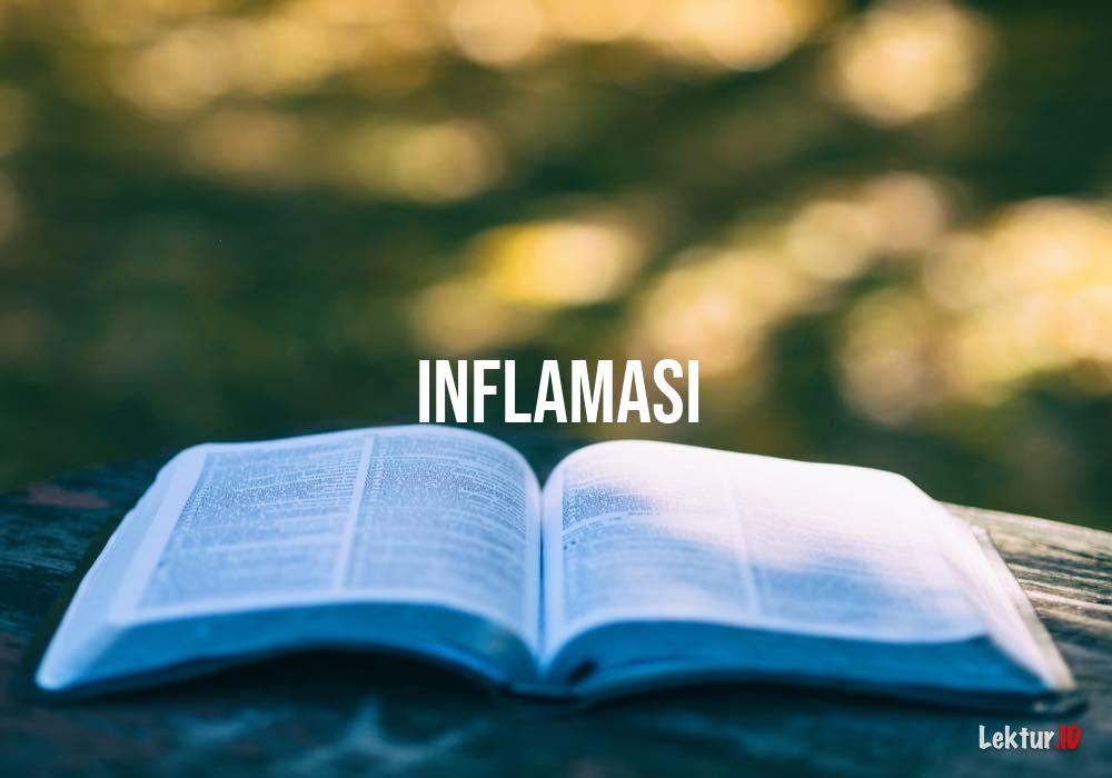 Detail Buku Tentang Inflamasi Nomer 20