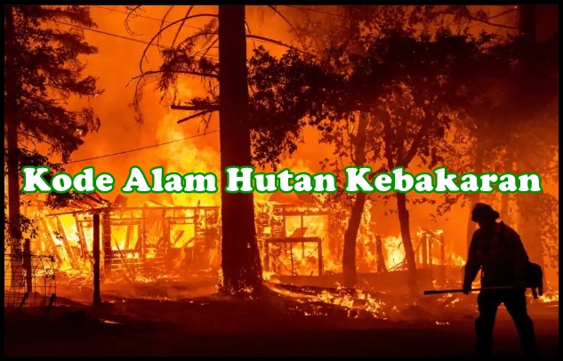 Detail Buku Tentang Kebakaran Hutan Nomer 40