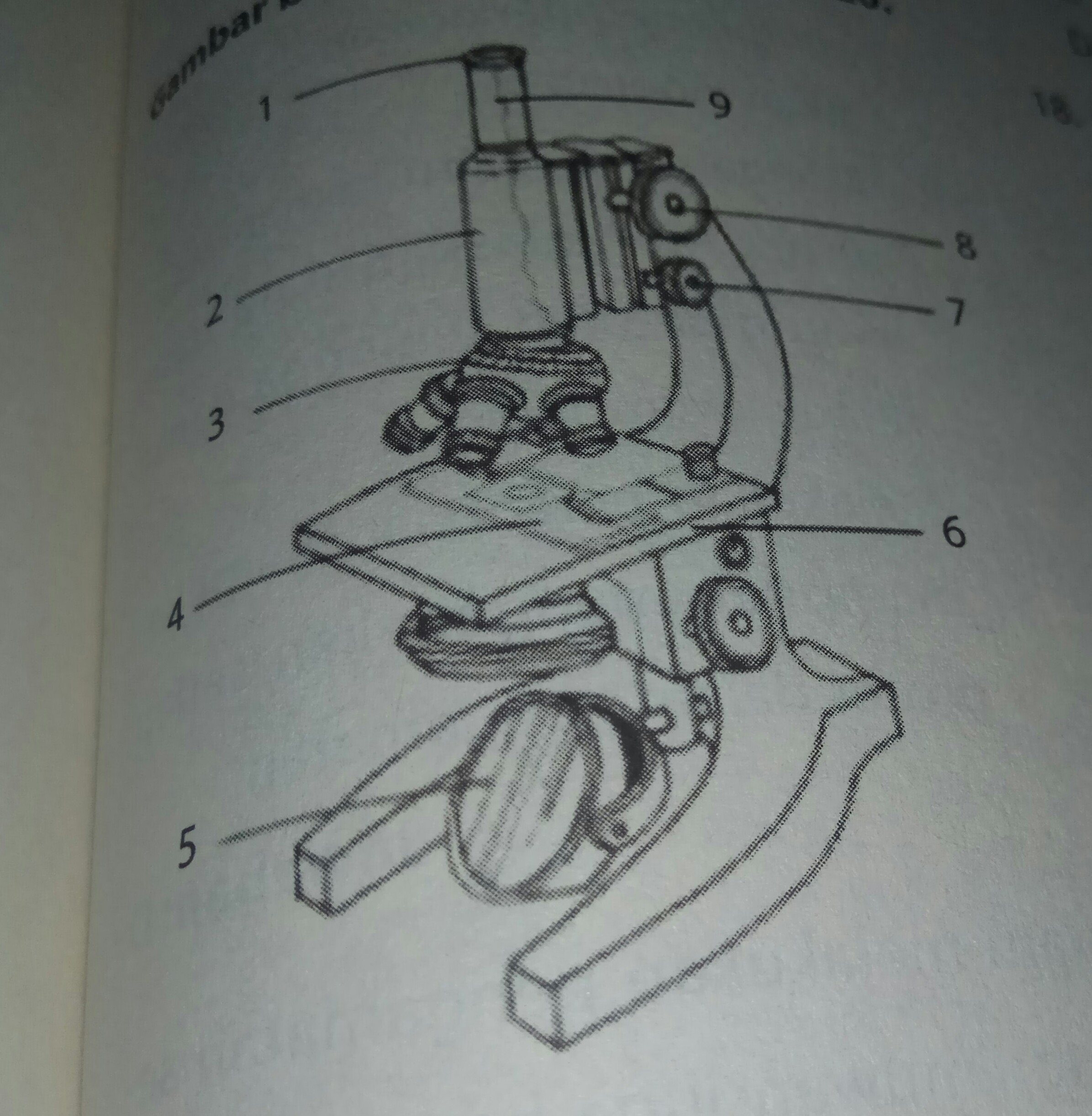 Detail Buku Tentang Mikroskop Nomer 44