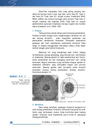 Detail Buku Tentang Pembelahan Sel Nomer 11