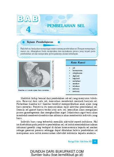 Detail Buku Tentang Pembelahan Sel Nomer 14