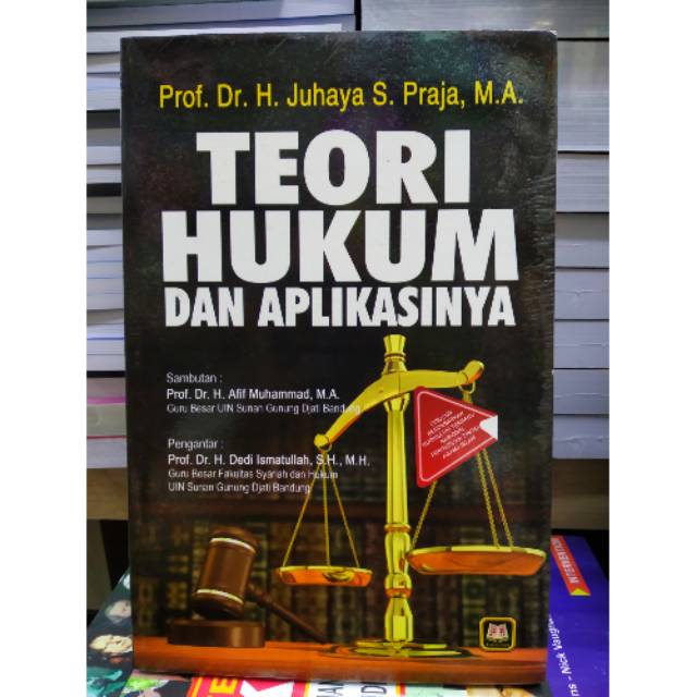 Detail Buku Tentang Teori Hukum Nomer 48