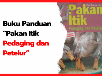 Detail Buku Ternak Bebek Petelur Nomer 34