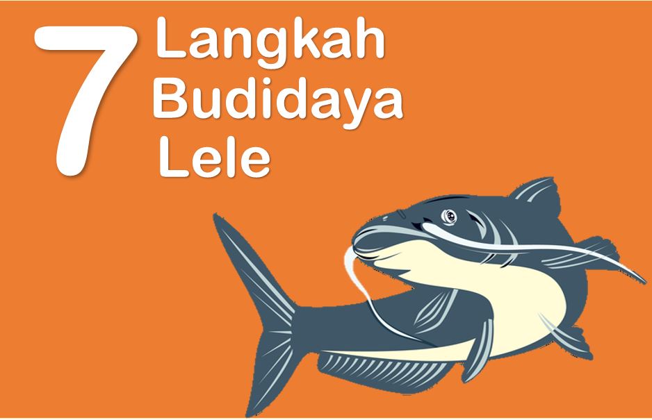 Detail Buku Ternak Lele Nomer 37