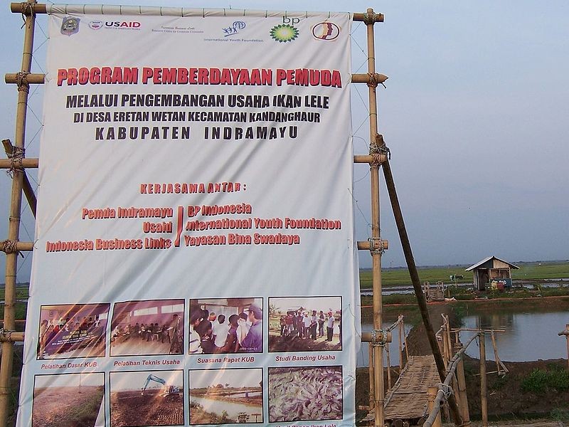 Detail Buku Ternak Lele Nomer 38