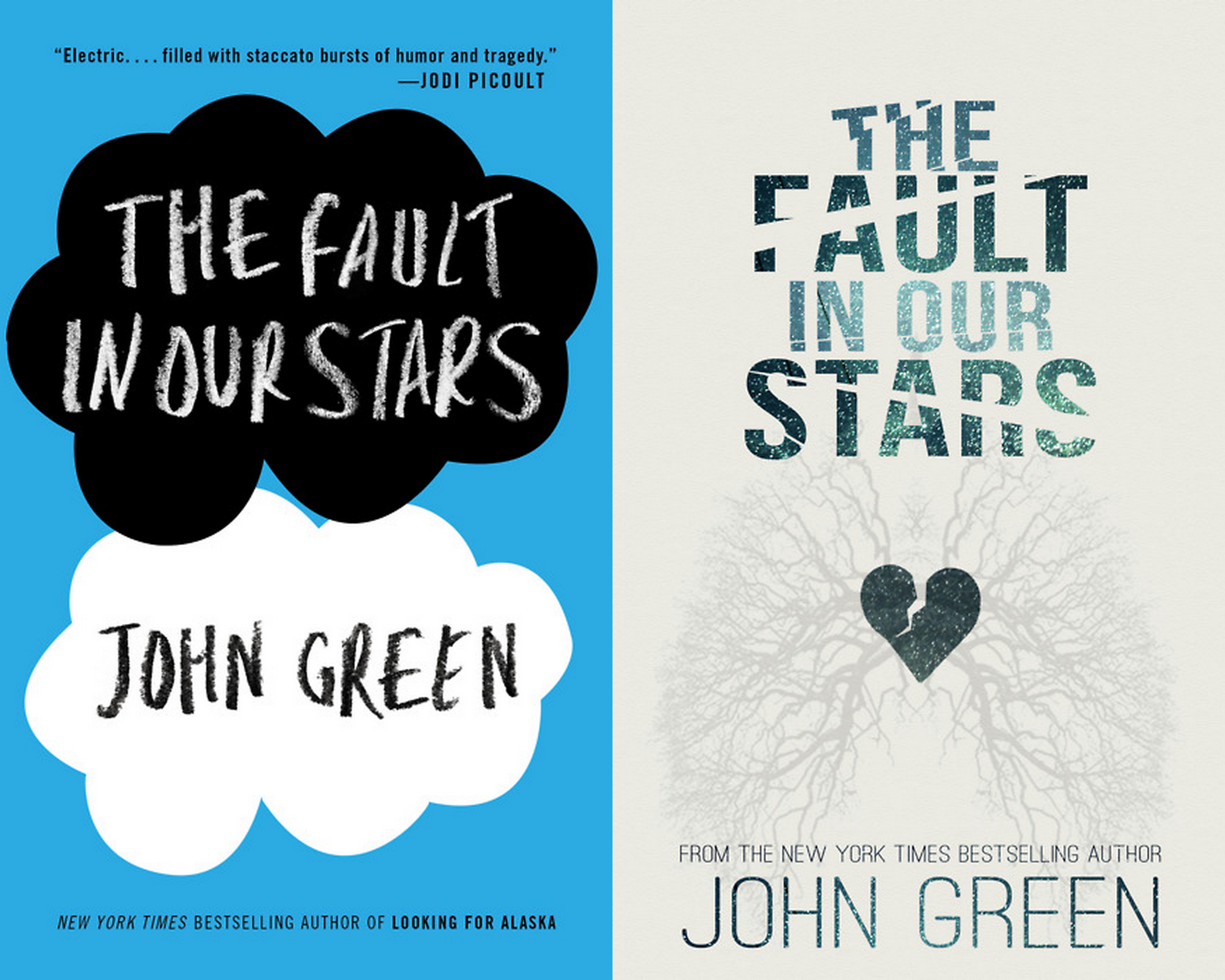 Detail Buku The Fault In Our Stars Nomer 16