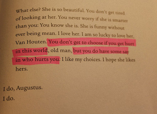 Detail Buku The Fault In Our Stars Nomer 19