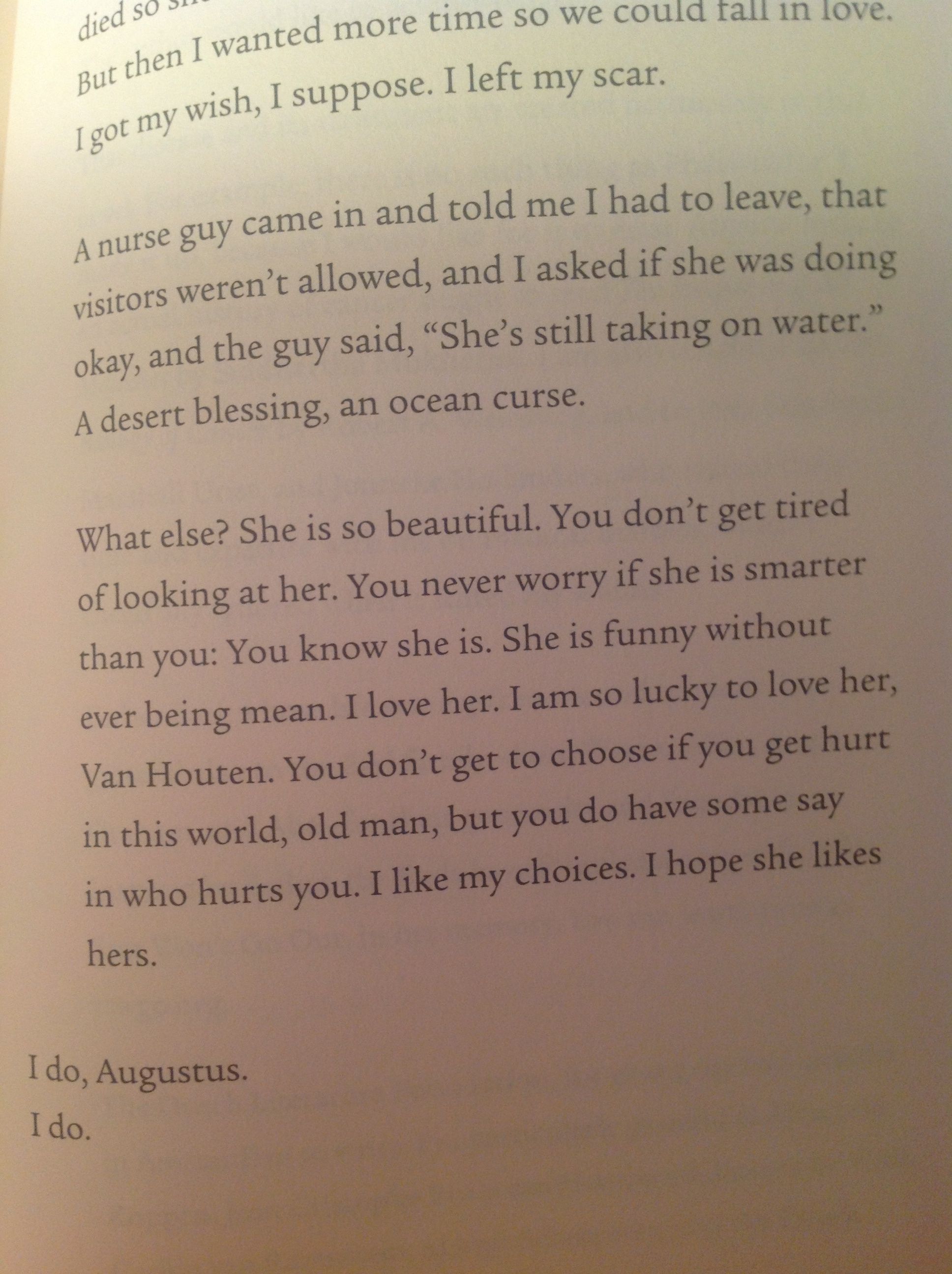 Detail Buku The Fault In Our Stars Nomer 40