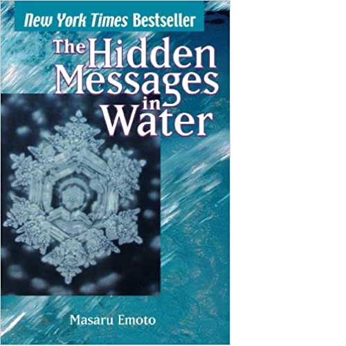 Detail Buku The Hidden Message In Water Nomer 11