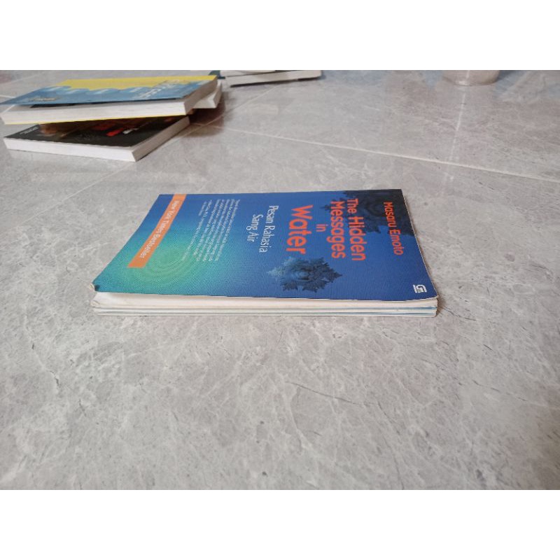 Detail Buku The Hidden Message In Water Nomer 13