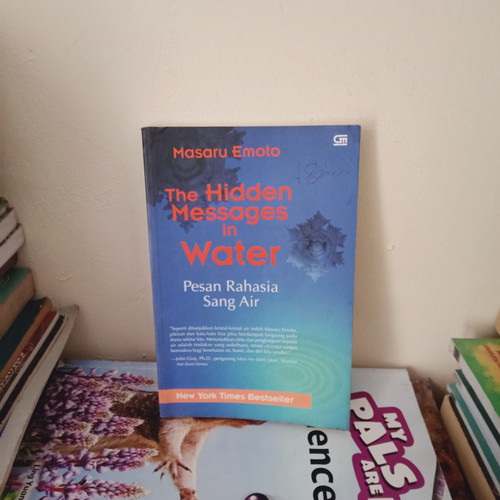 Detail Buku The Hidden Message In Water Nomer 16