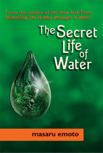 Detail Buku The Hidden Message In Water Nomer 17