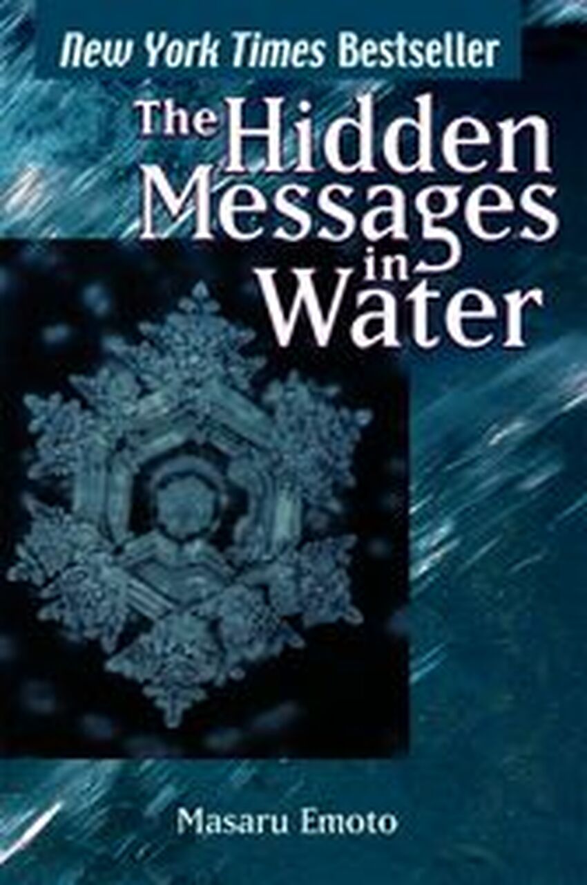 Detail Buku The Hidden Message In Water Nomer 18