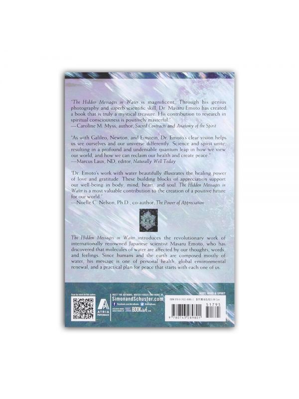 Detail Buku The Hidden Message In Water Nomer 20
