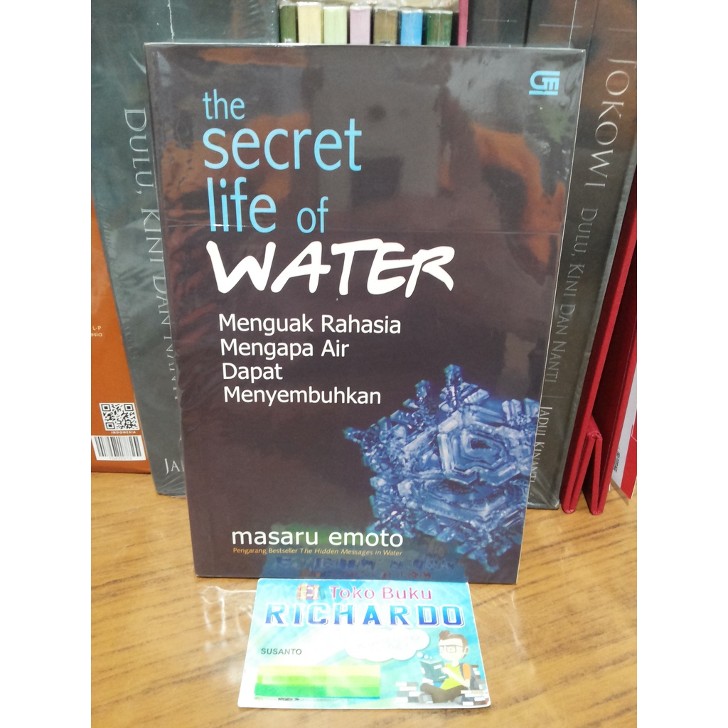 Detail Buku The Hidden Message In Water Nomer 25