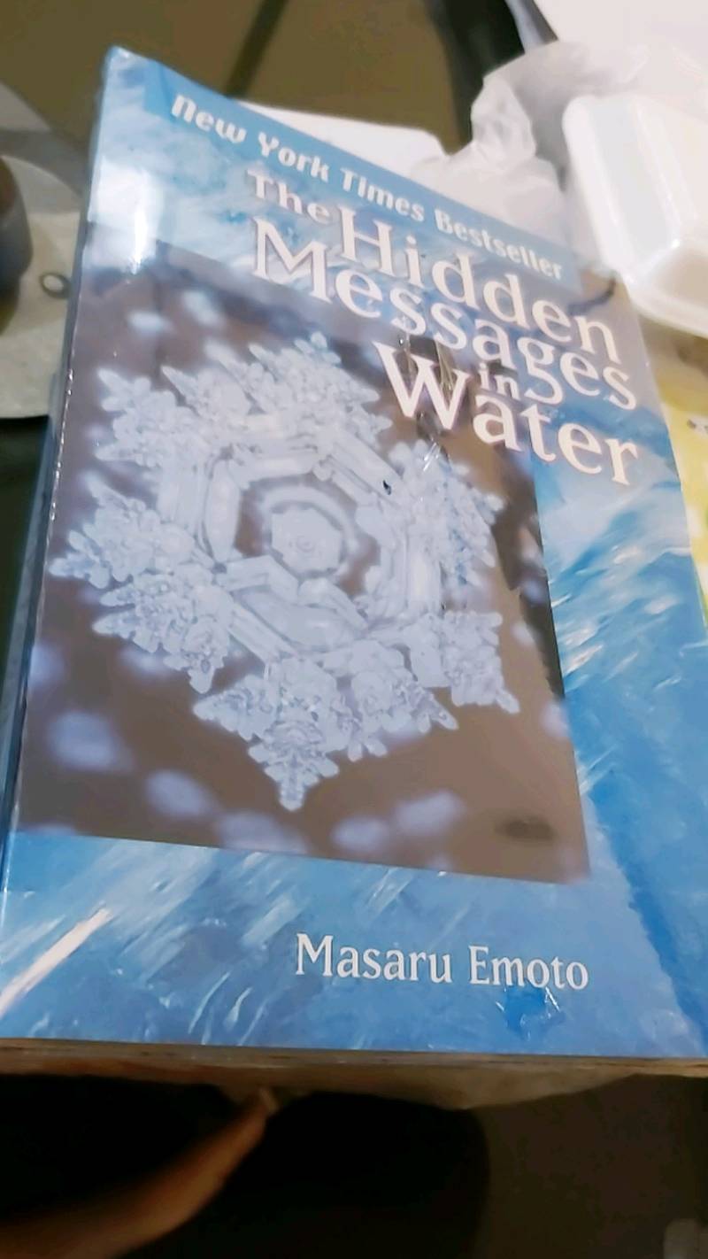 Detail Buku The Hidden Message In Water Nomer 32