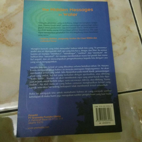 Detail Buku The Hidden Message In Water Nomer 35