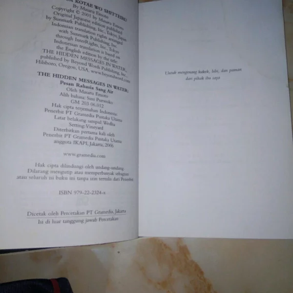 Detail Buku The Hidden Message In Water Nomer 38