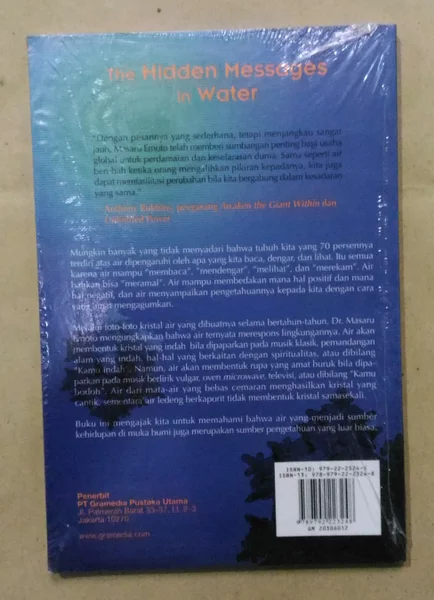 Detail Buku The Hidden Message In Water Nomer 54
