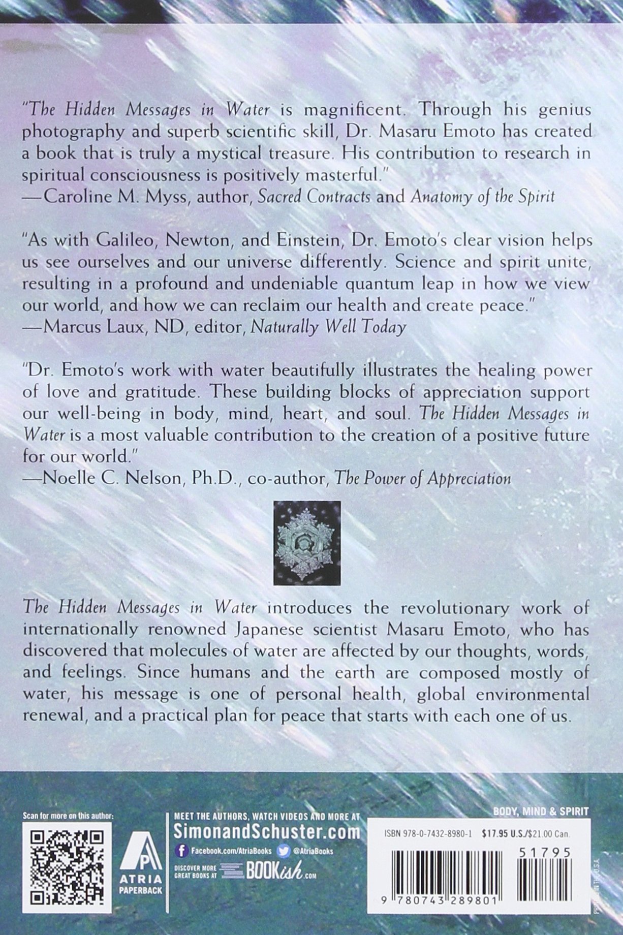 Detail Buku The Hidden Message In Water Nomer 6