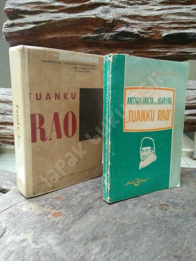 Detail Buku Tuanku Rao Nomer 31