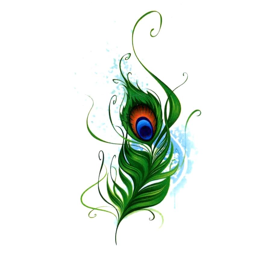 Detail Download Logo Gambar Bulu Merak Berwarna Biru Nomer 5