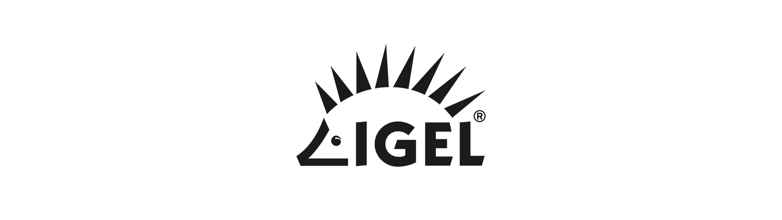 Detail Igel Zeichnung Nomer 7