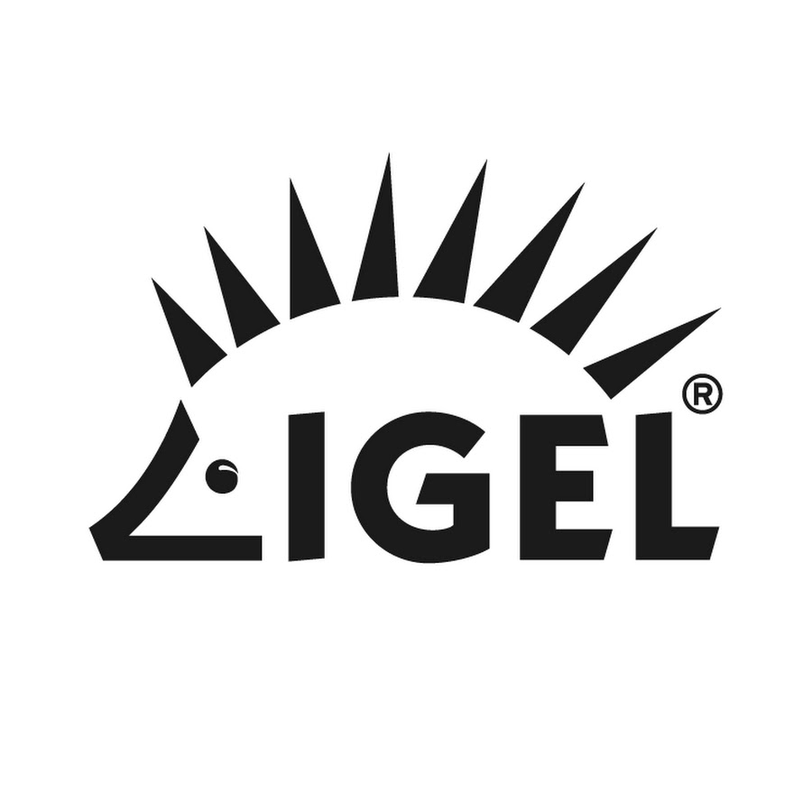 Detail Igel Zeichnung Nomer 2