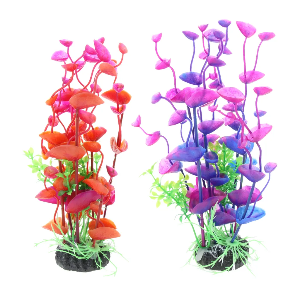Detail Orchideen Aquarium Nomer 2