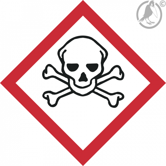 Detail Totenkopf Zeichnung Nomer 8