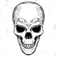 Detail Totenkopf Zeichnung Nomer 10