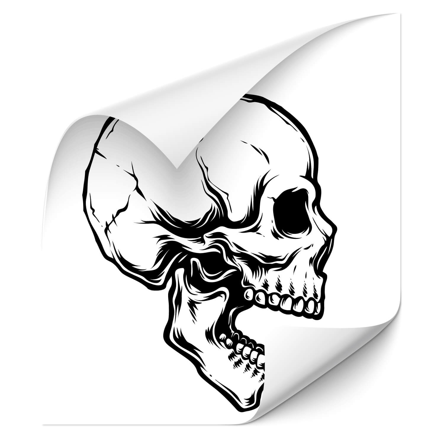 Detail Totenkopf Zeichnung Nomer 15