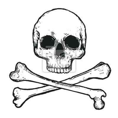 Detail Totenkopf Zeichnung Nomer 2