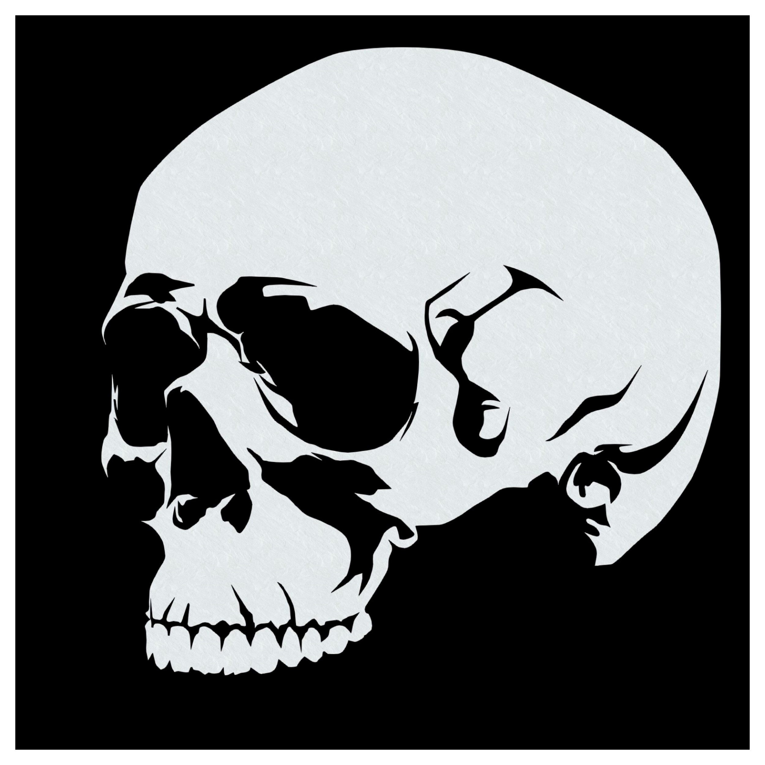 Detail Totenkopf Zeichnung Nomer 3