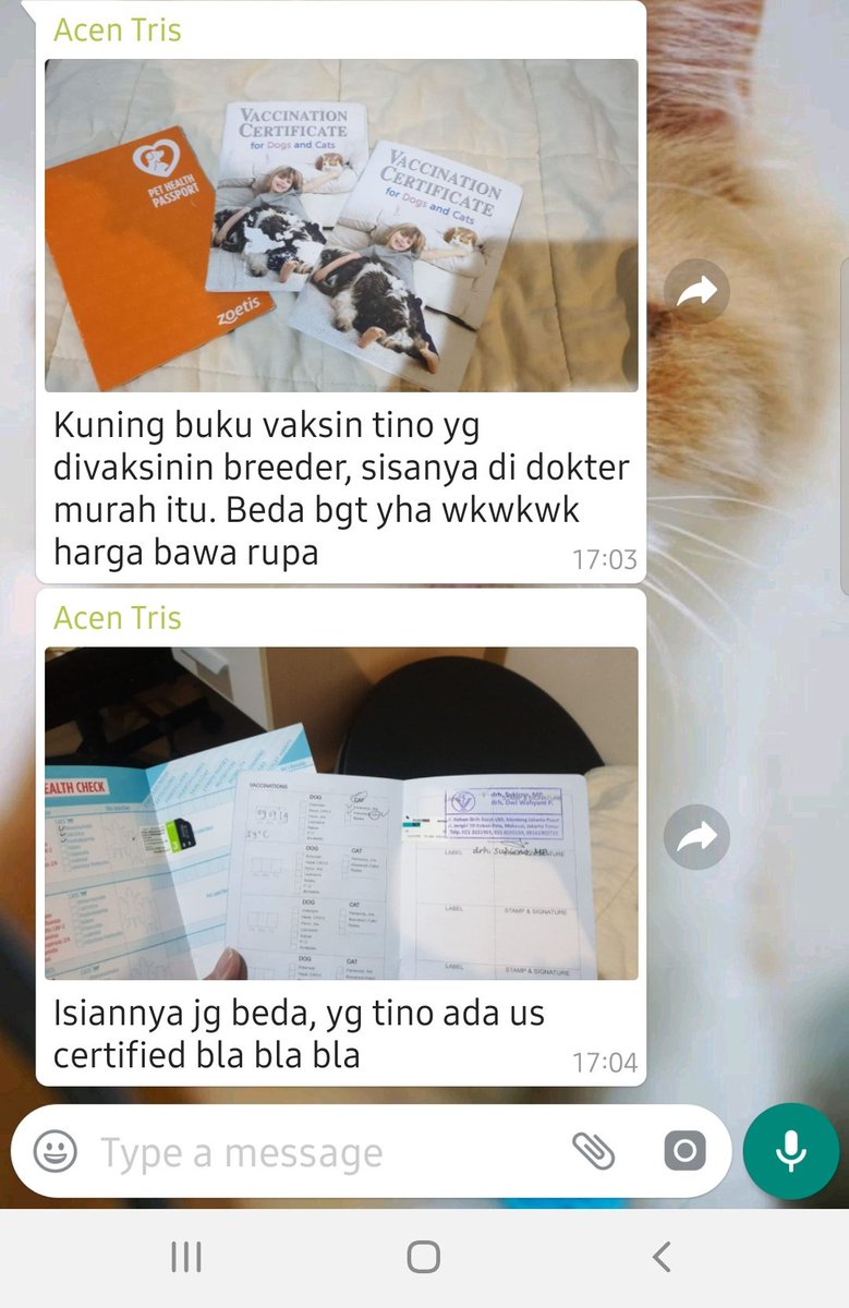 Detail Buku Vaksin Kucing Nomer 26