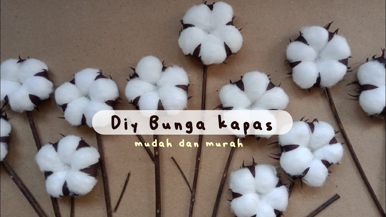 Detail Bunga Dari Kapas Nomer 36