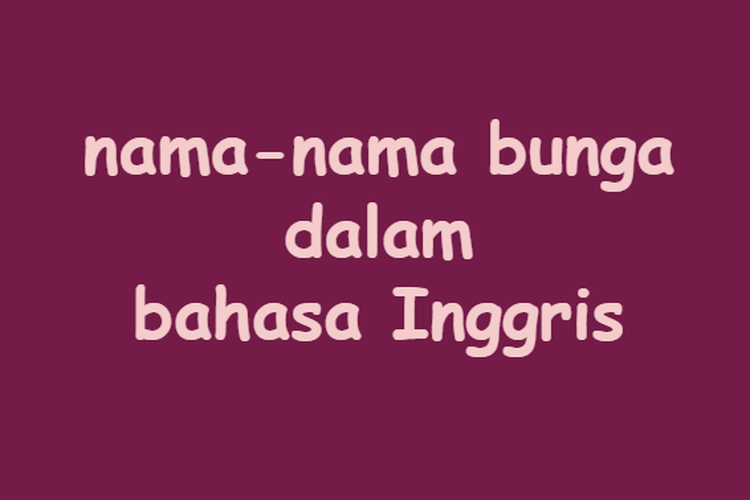 Detail Bunga Matahari Bahasa Inggris Nomer 23