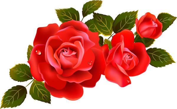 Detail Bunga Merah Vektor Nomer 28
