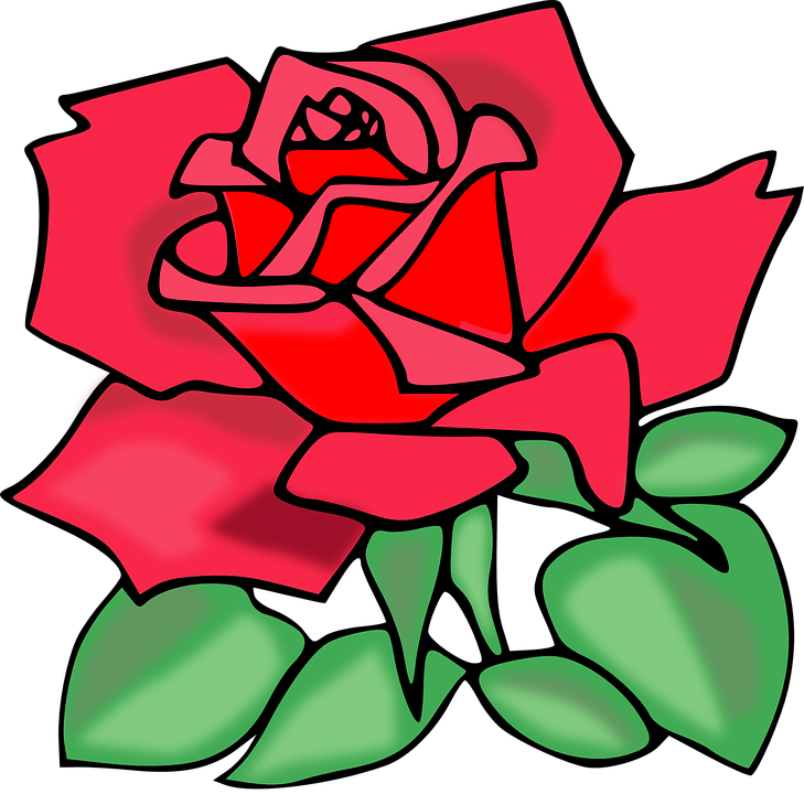 Detail Bunga Merah Vektor Nomer 31