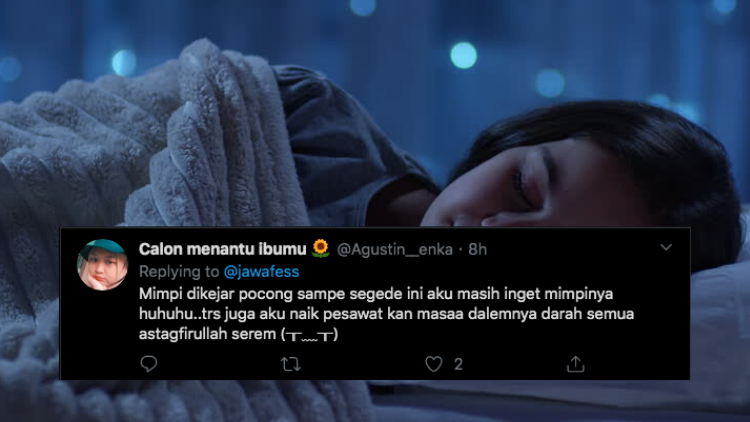 Detail Bunga Tidur Adalah Nomer 2