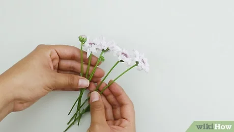 Detail Bunga Yang Bisa Dikeringkan Nomer 30