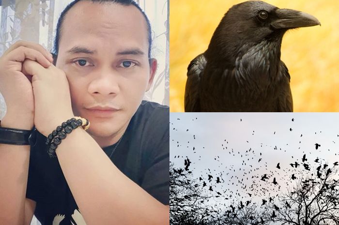 Detail Burung Gagak Terbang Nomer 35