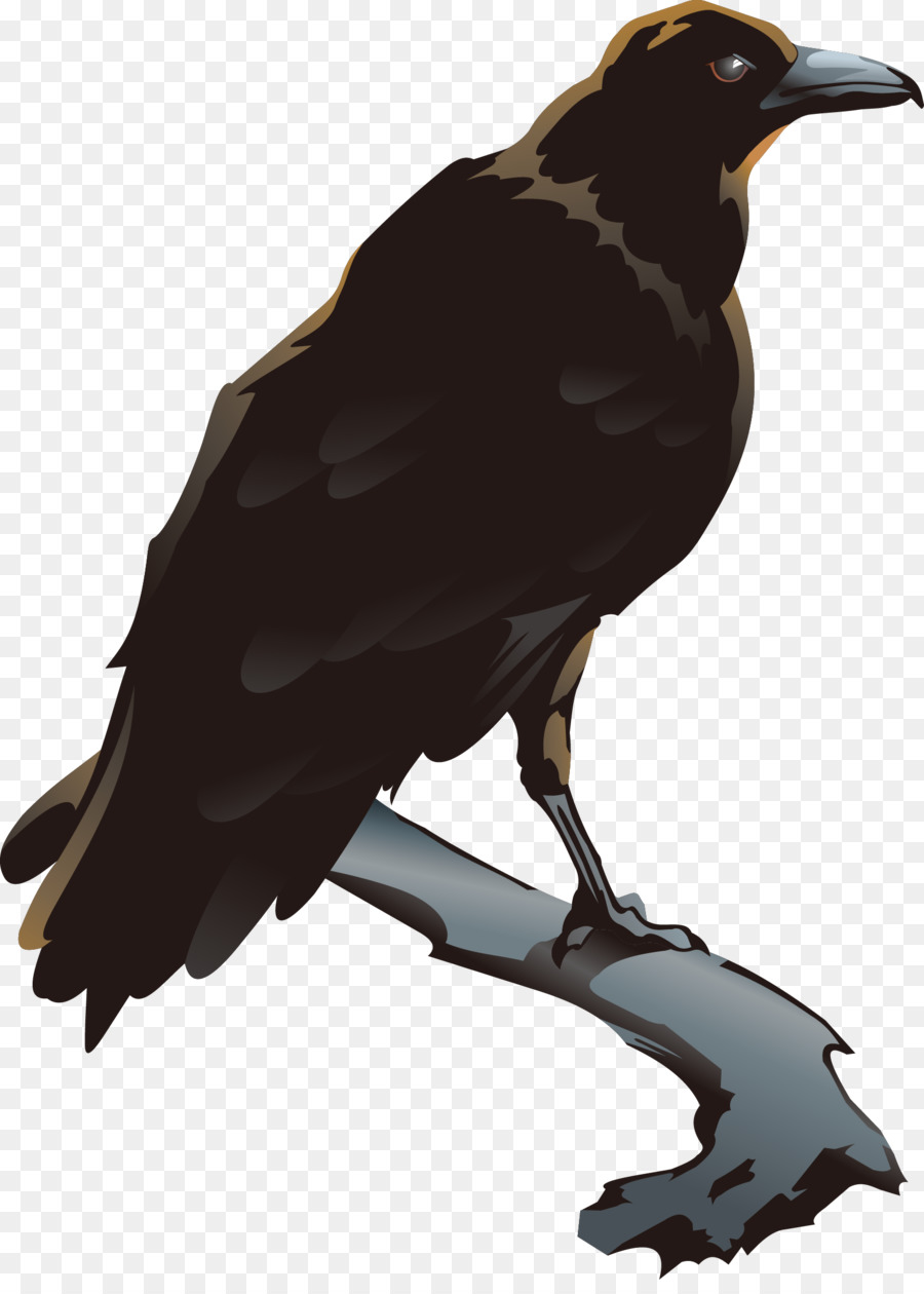 Detail Burung Gagak Vector Nomer 8